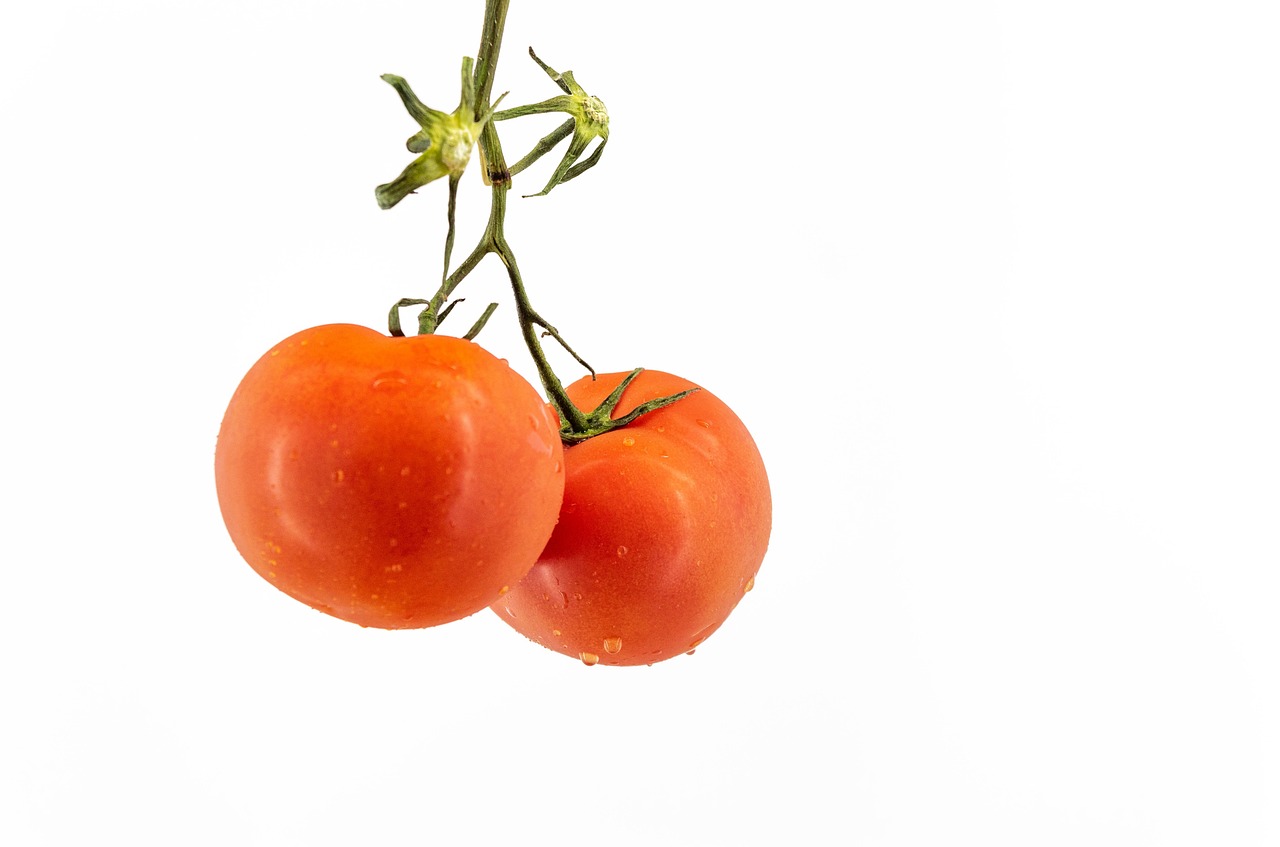 vegetables
