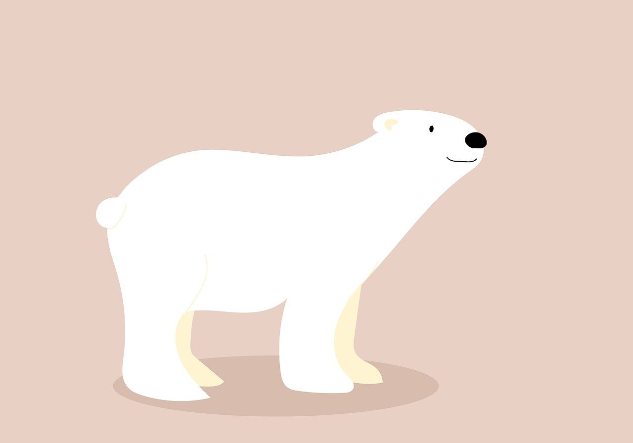 polar bear