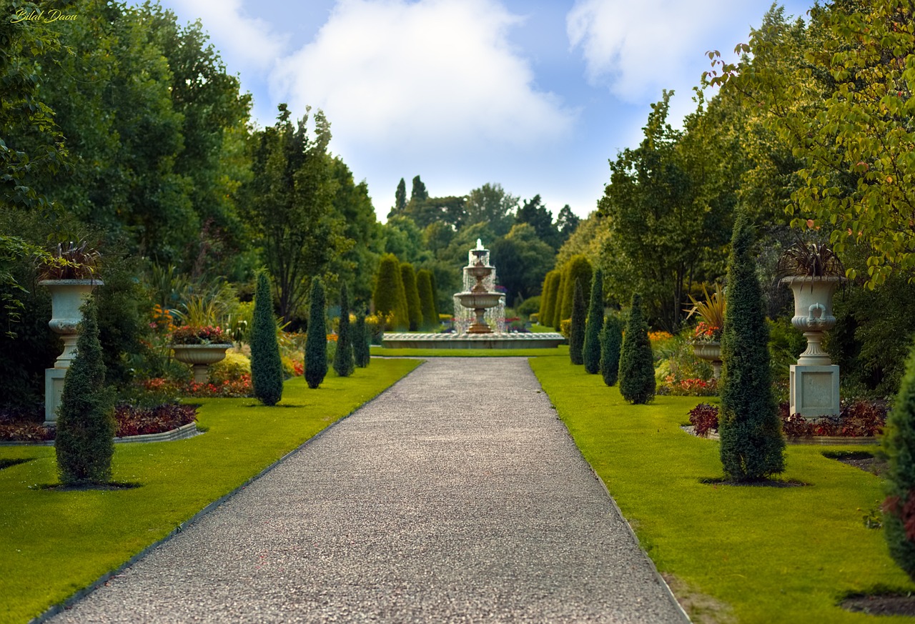 garden